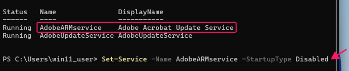 Command to Disable Adobe Update