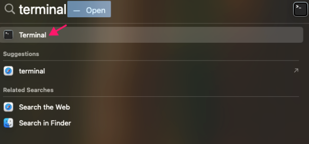 Terminal typed into the search function