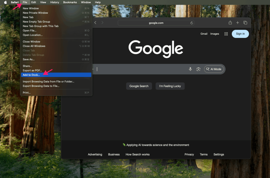 Add to dock in macOS