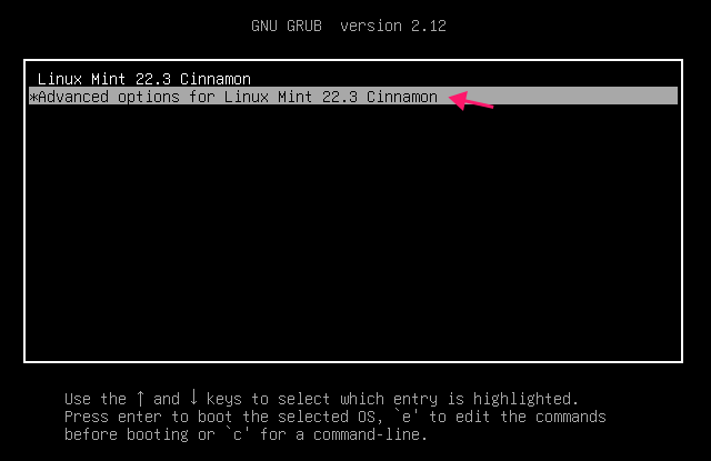 Advanced options on Linux boot menu