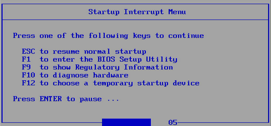 BIOS screen