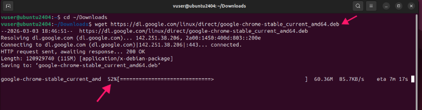 Download File