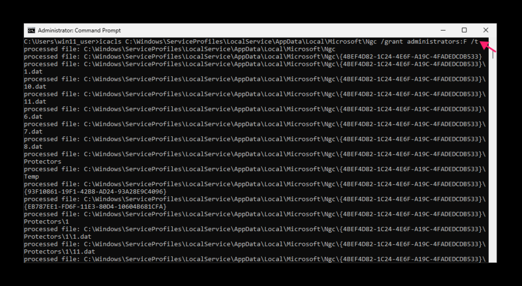 Grant full control access through CMD