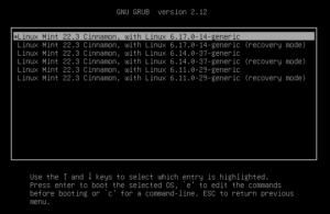 How to update Linux Mint