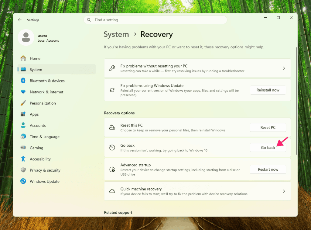 Recovery in System settings