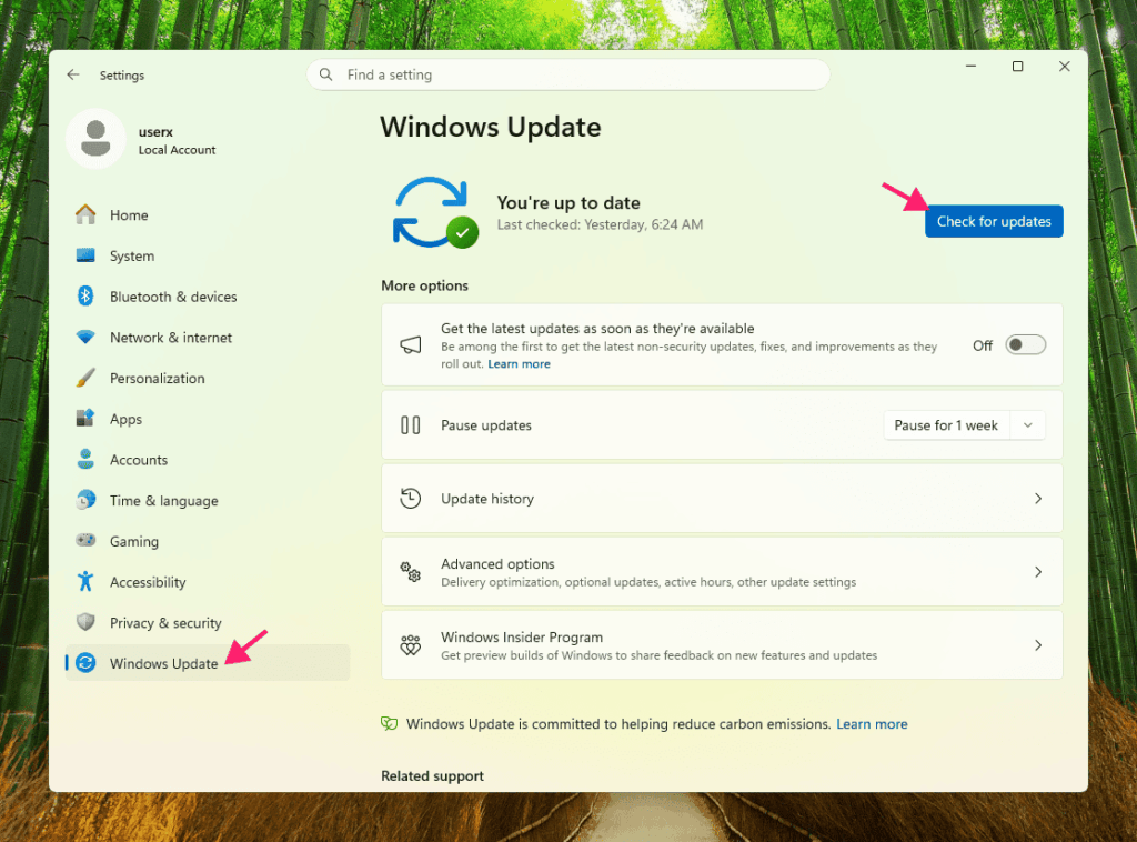 Run Windows update