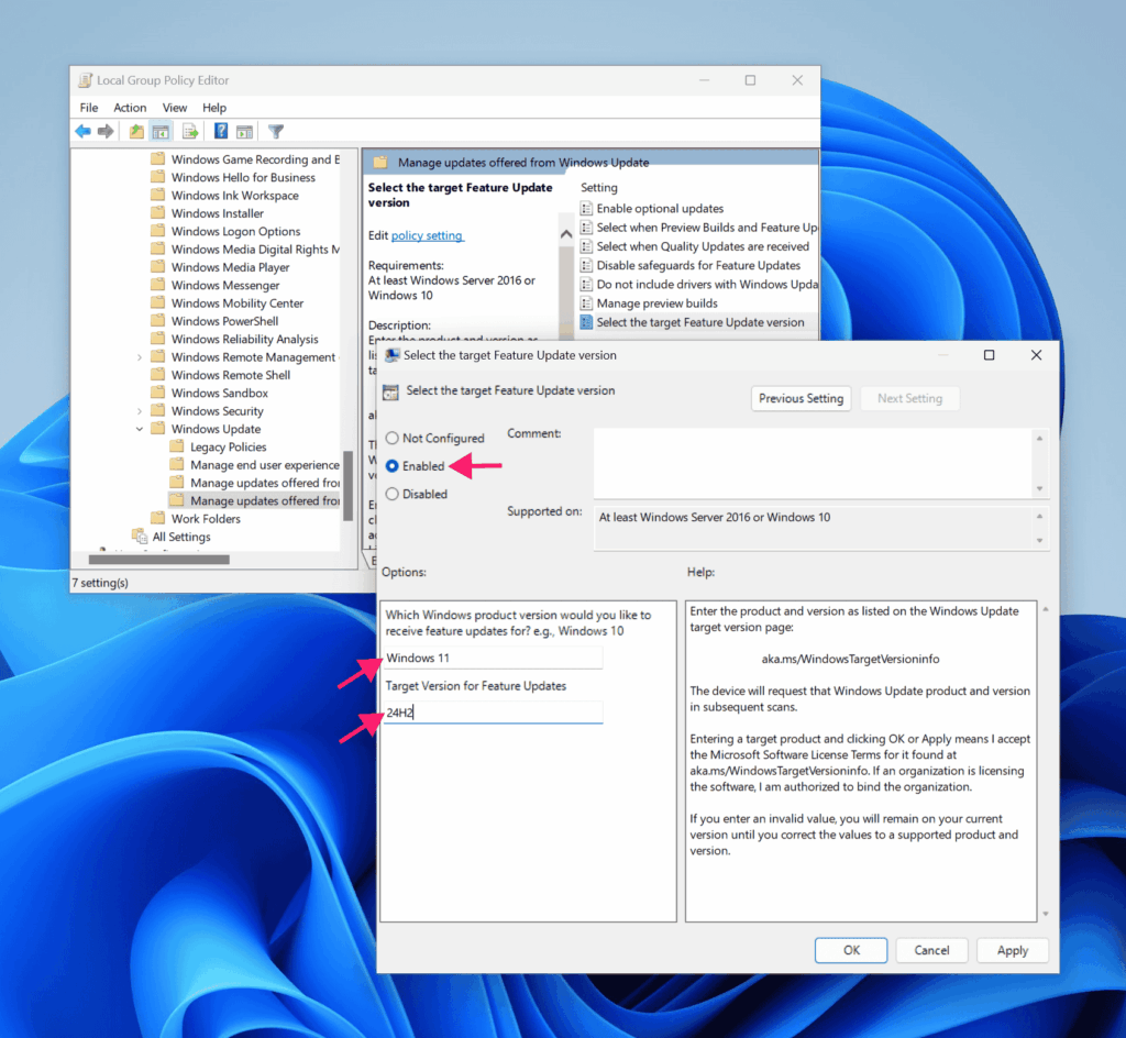 Setting target version in gpedit