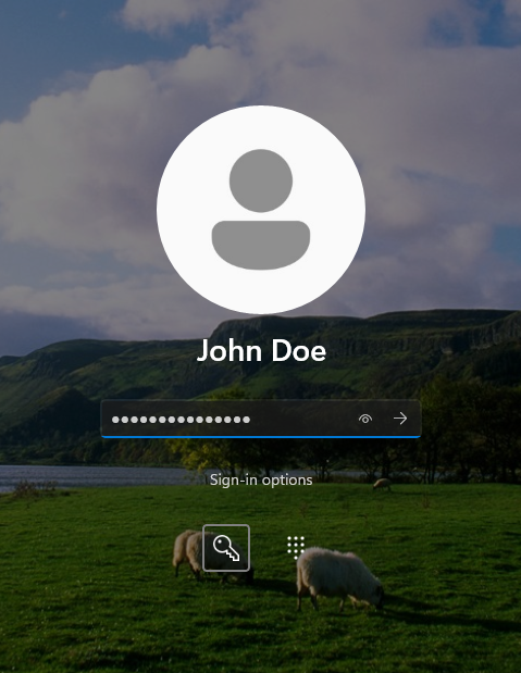 Sign-in screen with password