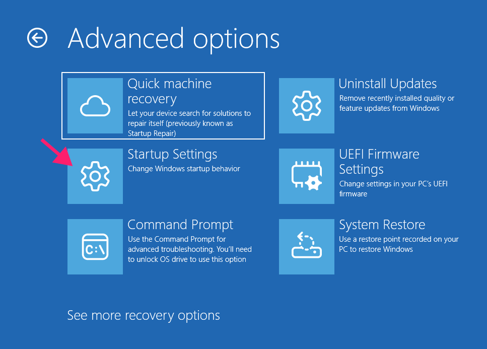 Startup Settings in WinRE