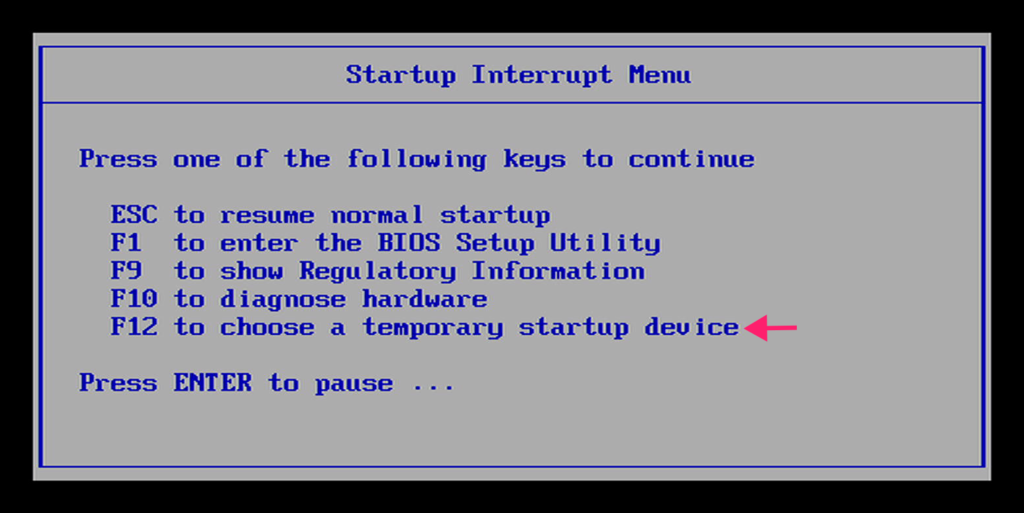 Startup interrupt menu