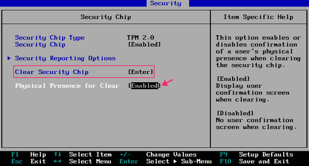 TPM in BIOS