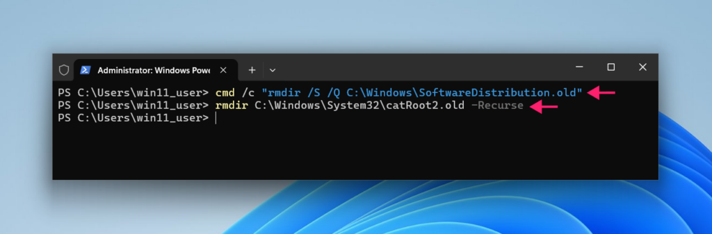 Delete old SoftwareDistribution folder