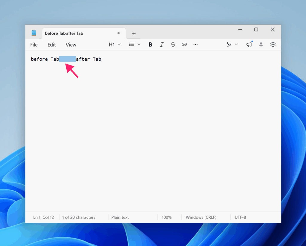 Notepad Tab test