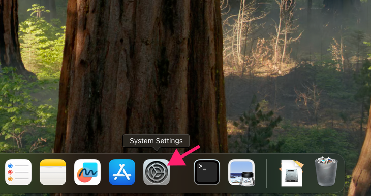 Open System Settings on macOS Open System Settings on macOS