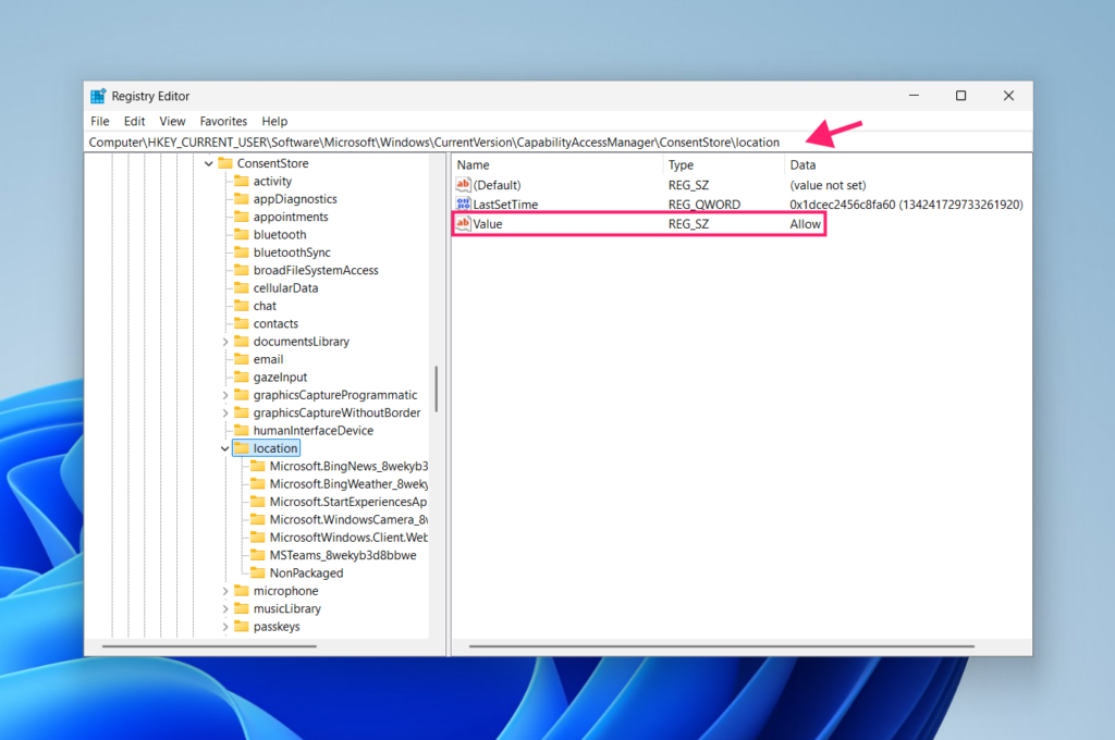 Registry key to allow application-level location access