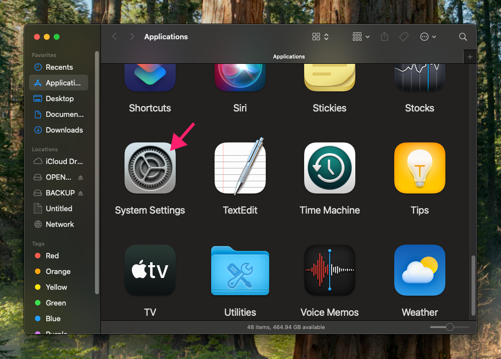 macOS System Settings in applications window macOS System Settings in applications window