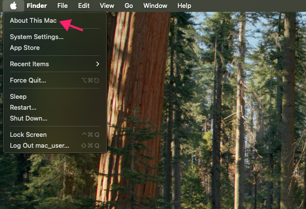 About This Mac option