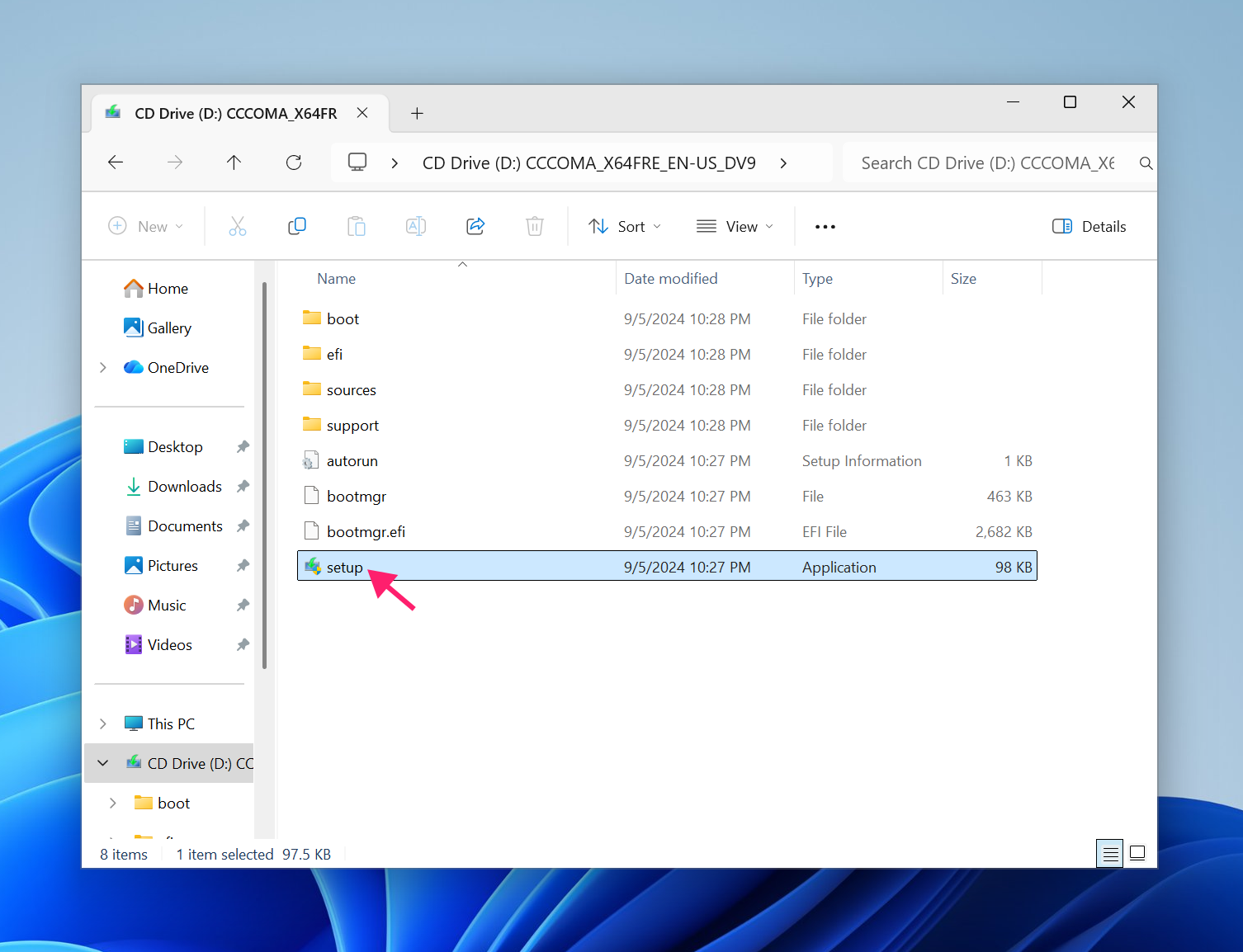 Installation media setup exe