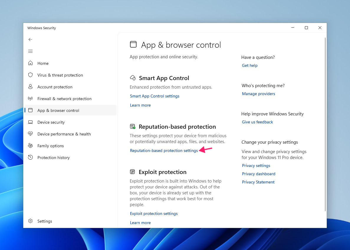 Reputation based protection settings