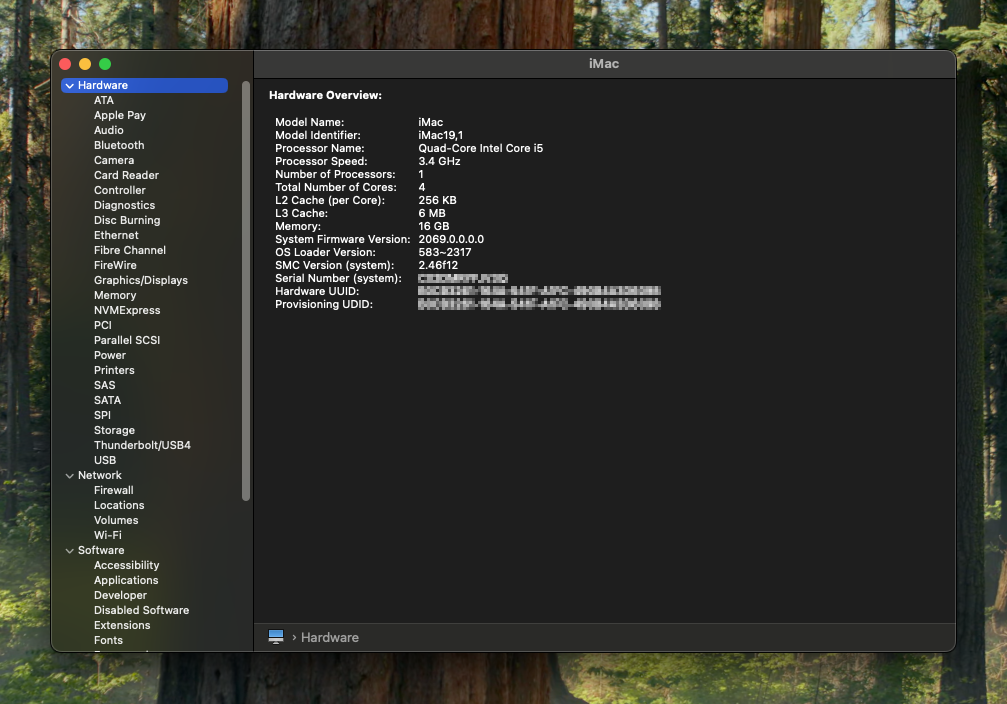 System report on macOS