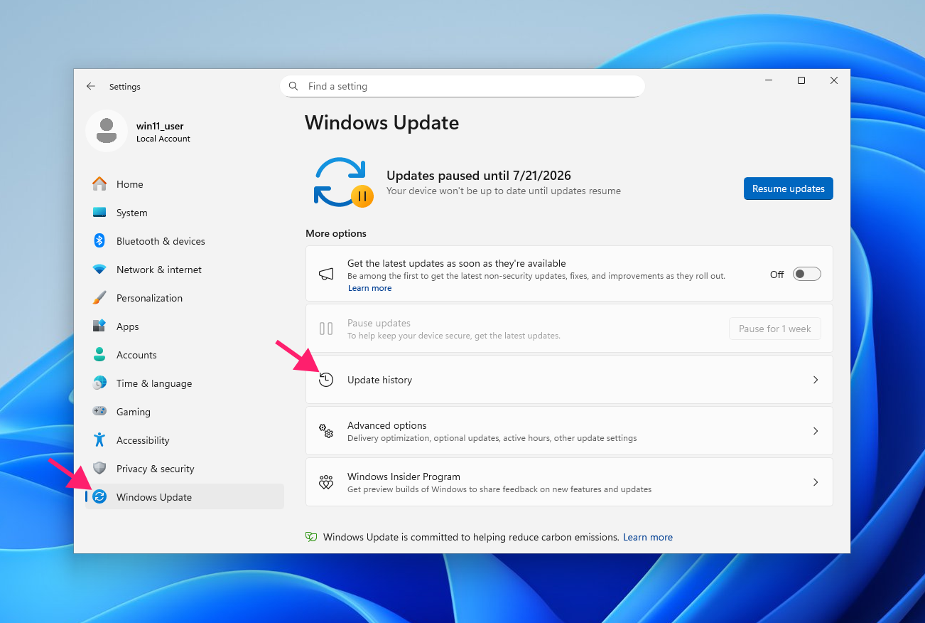 Update history in Windows settings