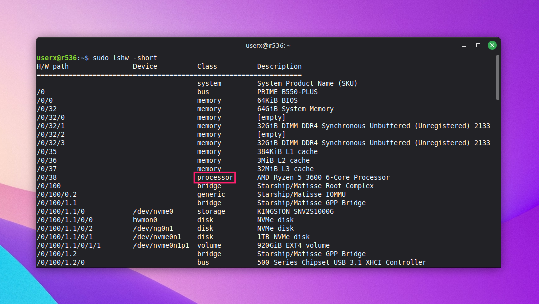 sudo lshw -short command