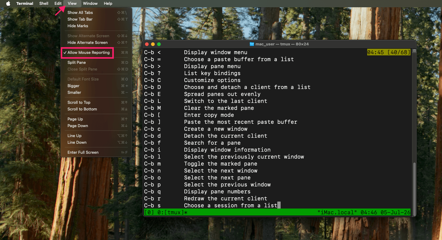 Allow mouse reporting in macOS Allow mouse reporting in macOS