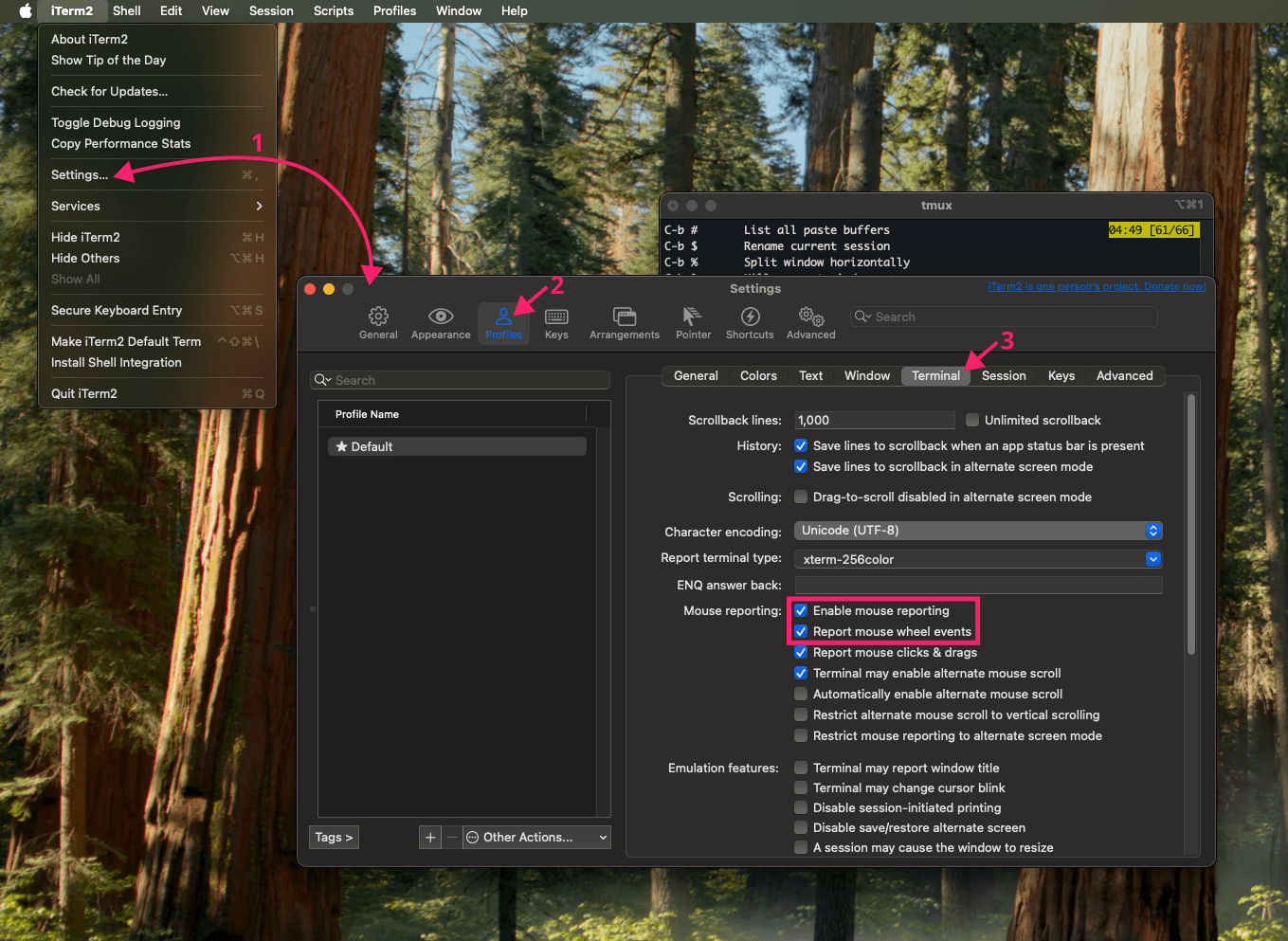 Enable mouse reporting in iTerm2 Enable mouse reporting in iTerm2
