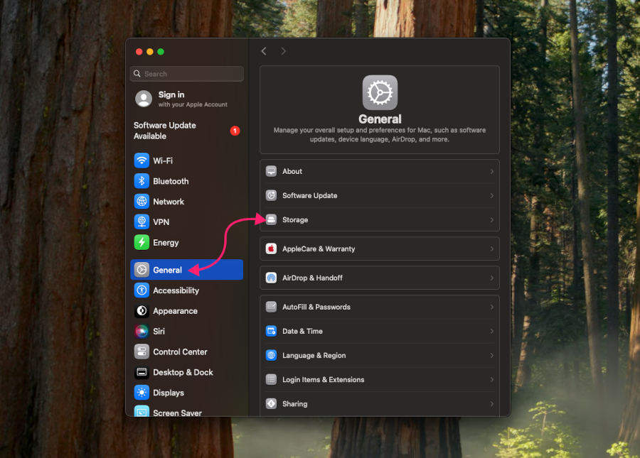 General storage in macOS settings