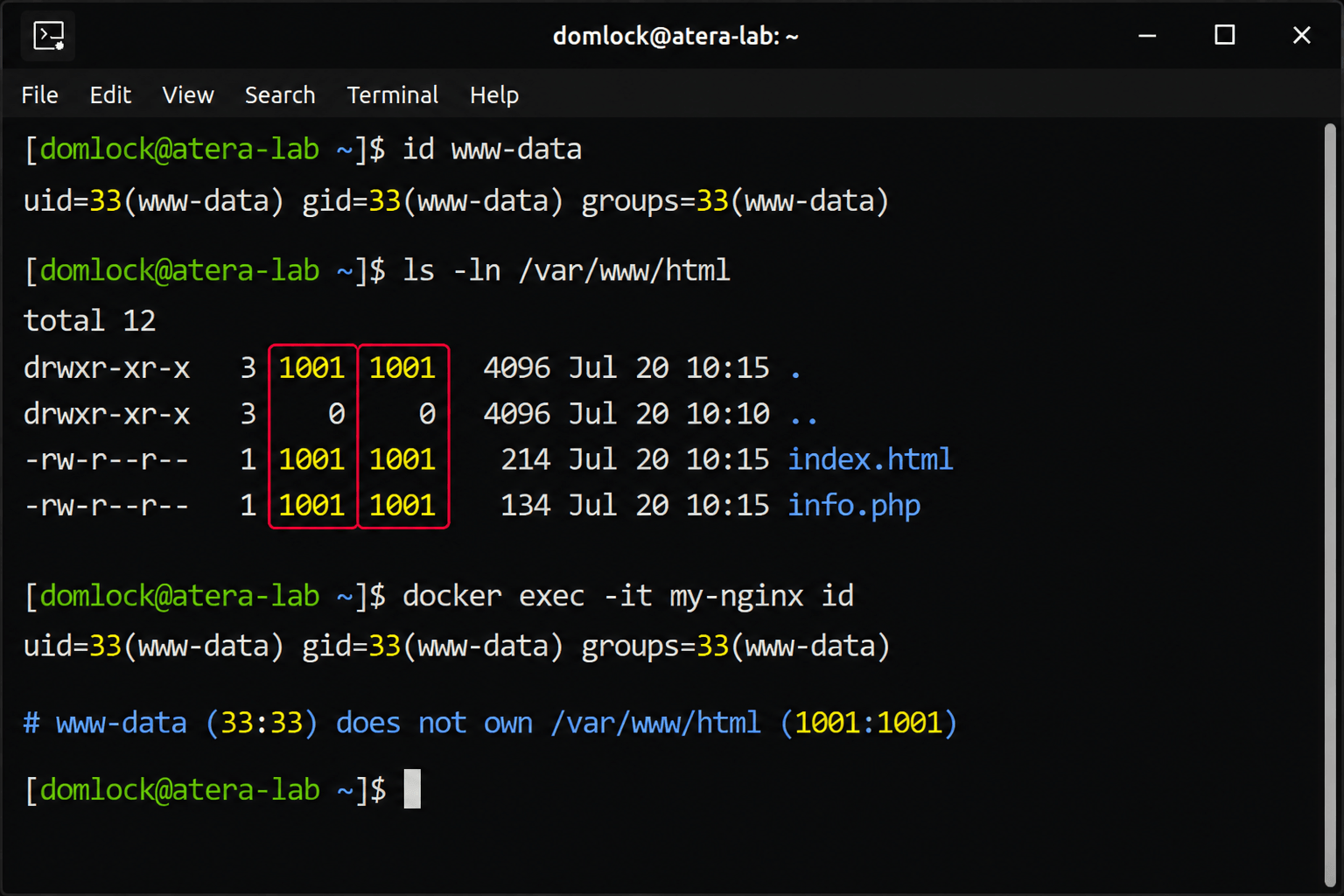 Identify runtime user vs host directory ownership Identify runtime user vs host directory ownership