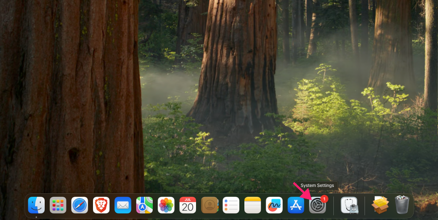 Mac settings icon on dock