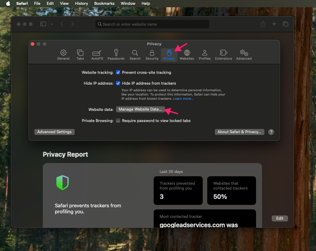 Manage website data in Safari Privacy
