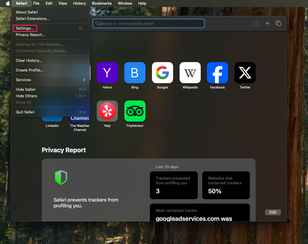 Open Safari settings