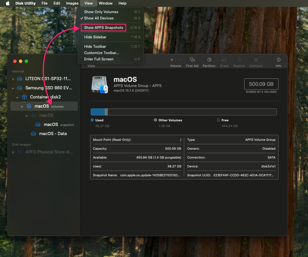 Remove Time Machine snapshots through GUI