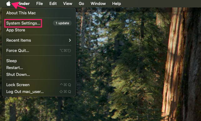 System settings on macOS