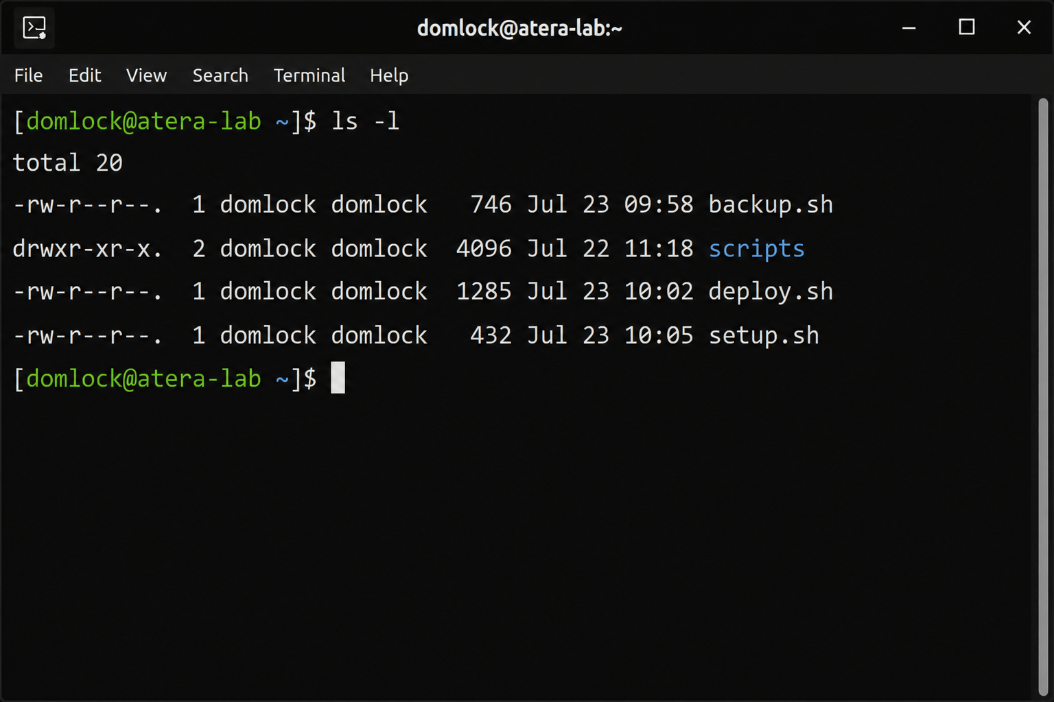 -ls -l command -ls -l command