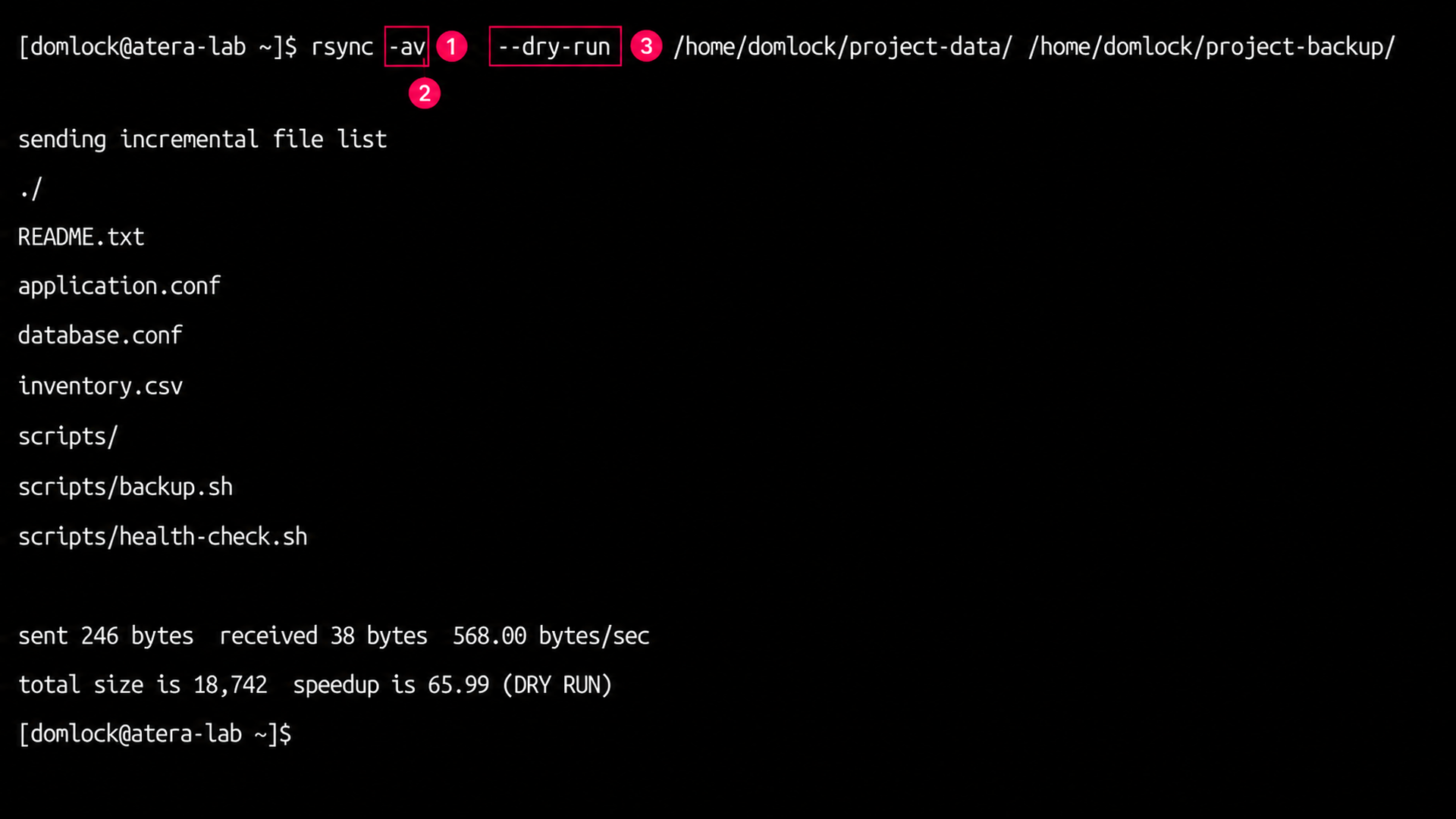 Basic rsync dry run command Basic rsync dry run command