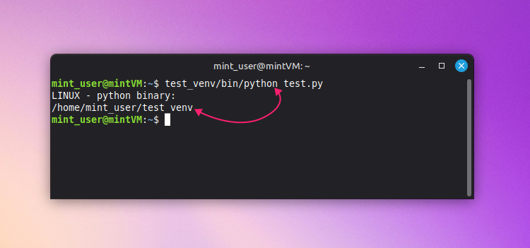 Call environment interpreter on POSIX system
