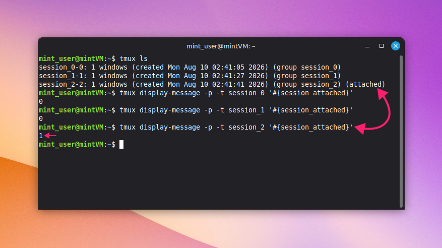Check specific tmux session Check specific tmux session