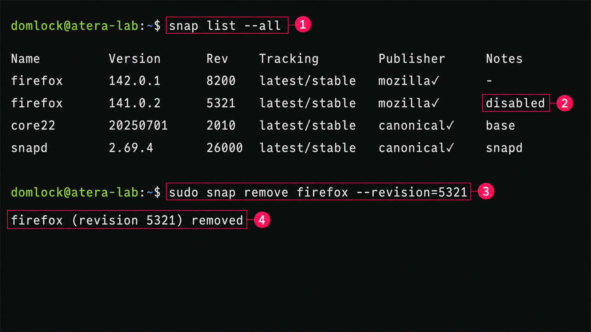 Clean up disabled Snap revisions Clean up disabled Snap revisions