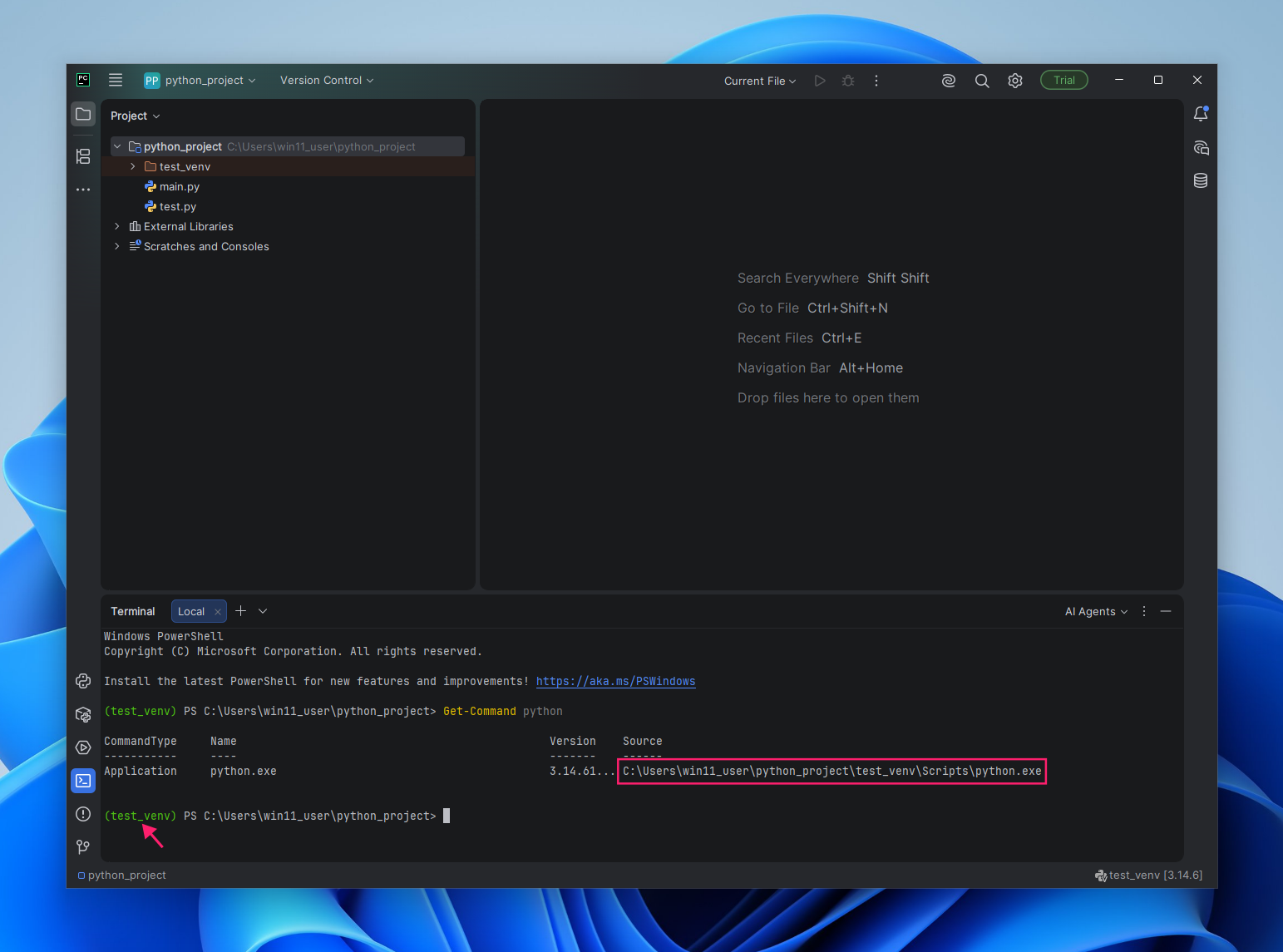 Confirm Python binary path in VS Code