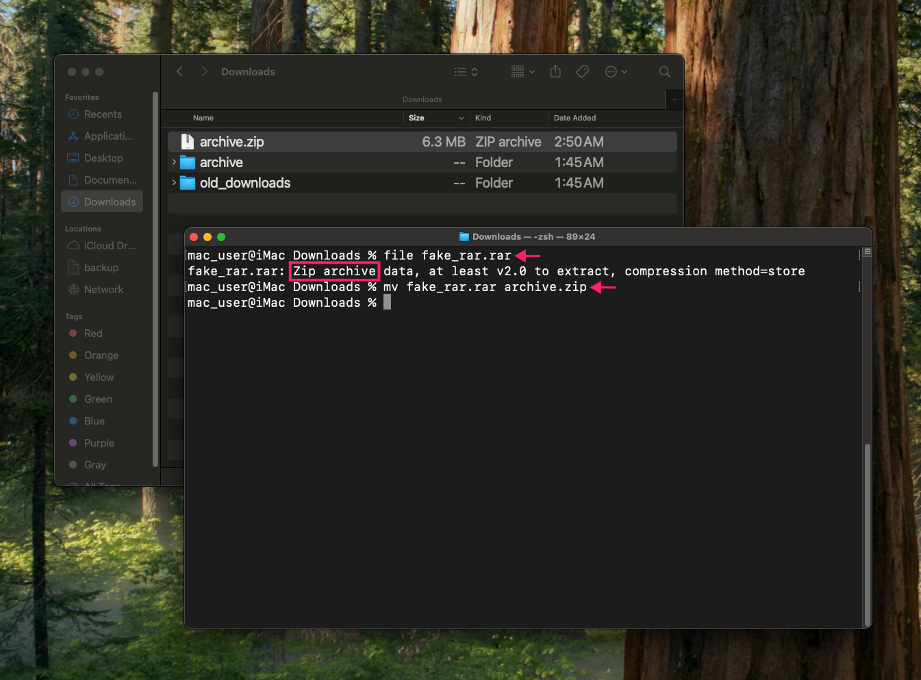 Confirm file path in macOS terminal Confirm file path in macOS terminal