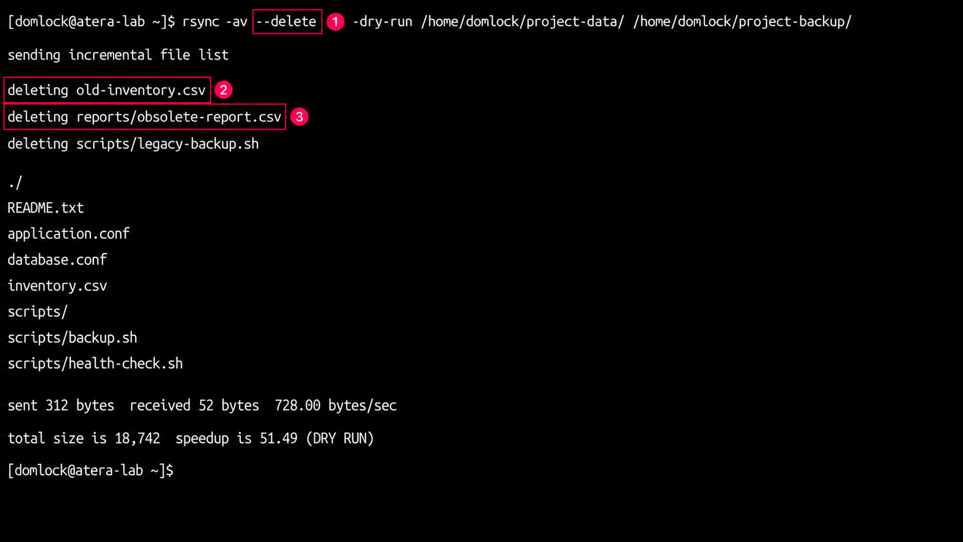Delete flag on rsync dry run Delete flag on rsync dry run