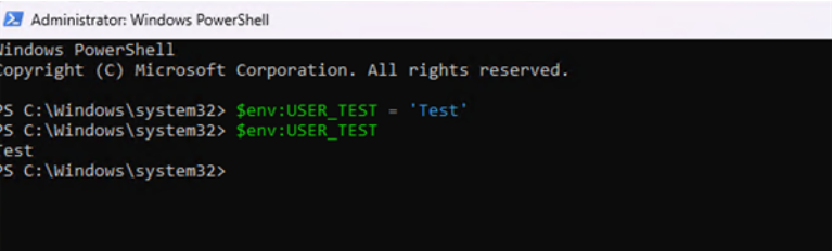 environment variable environment variable