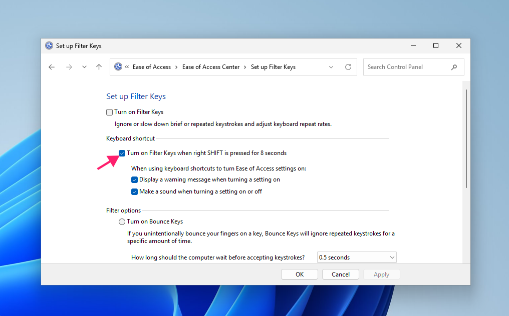 Filter keys shortcut in control panel Filter keys shortcut in control panel