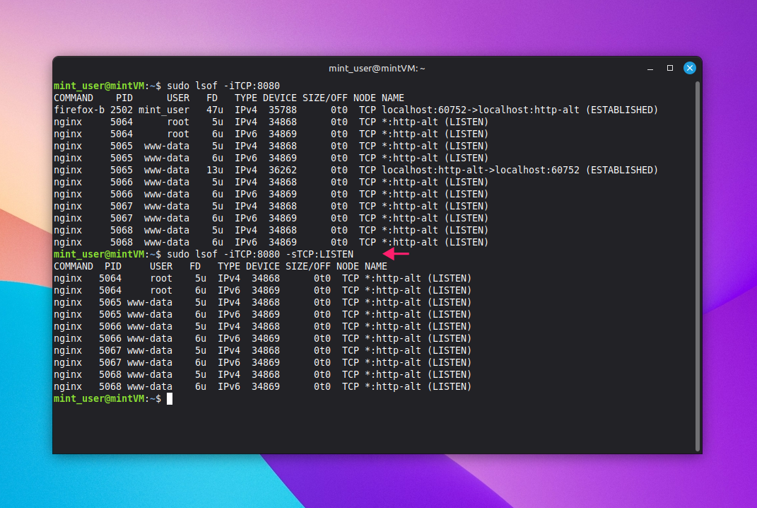 Filtered sudo lsof command Filtered sudo lsof command