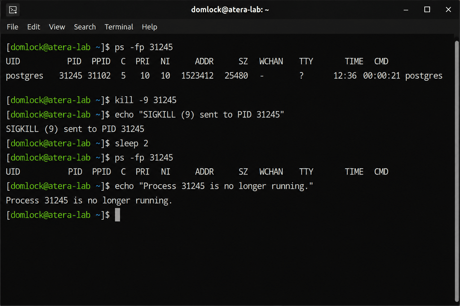 Force kill process in Linux Force kill process in Linux