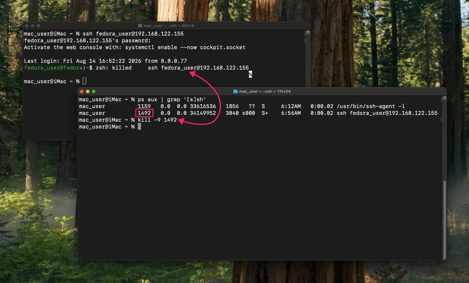 Kill SSH through macOS terminal