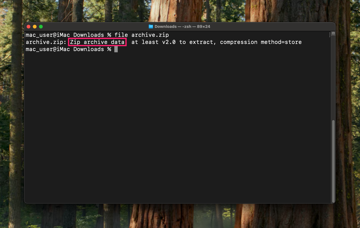 Verify file header Verify file header