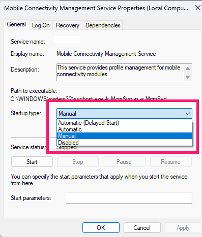 Properties section in Microsoft Services